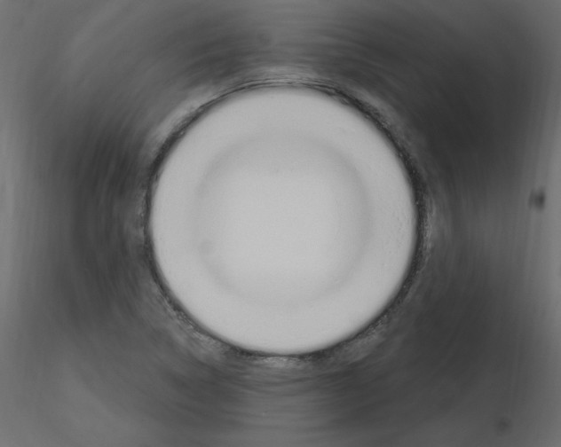 X0000115711314200912241535