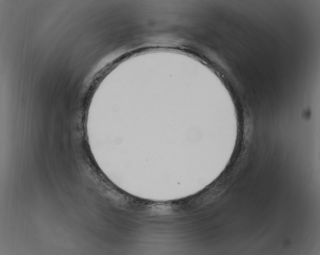 X0000115711315200912241535