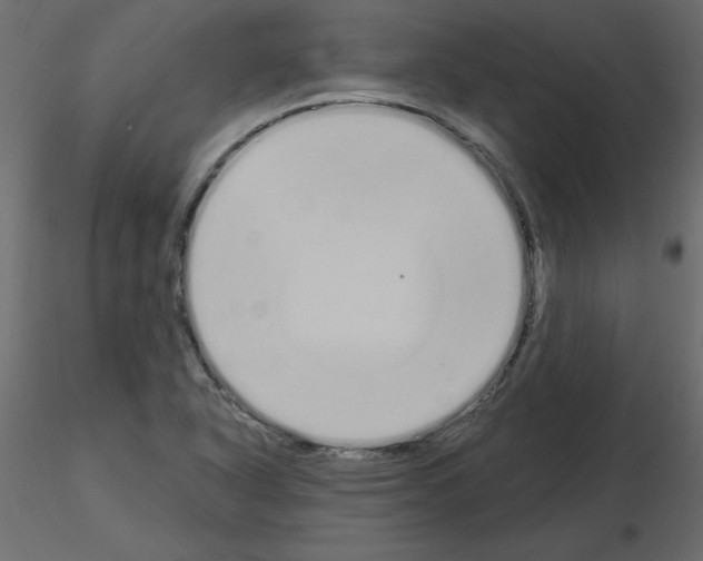 X0000115711318200912241535