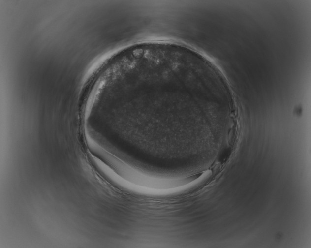 X0000115711319200912241535