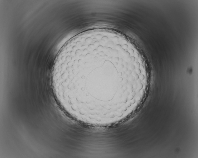 X0000115711321200912241535