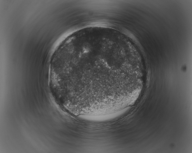 X0000115711323200912241535