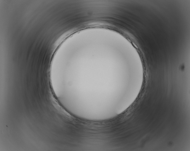 X0000115711330200912241536