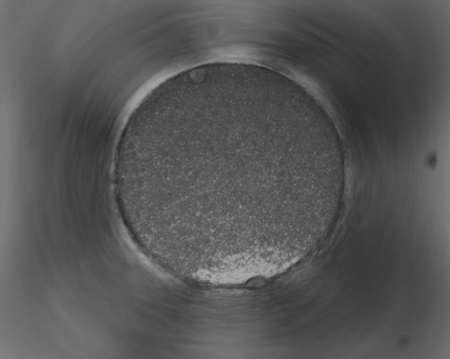 X0000115711331200912241536