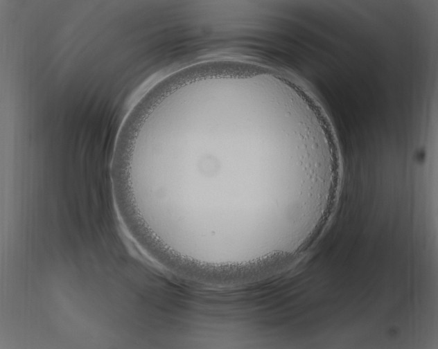 X0000115711338200912241536