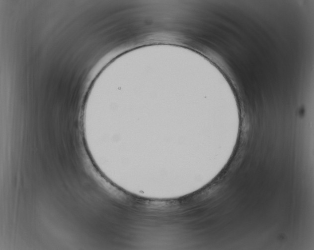 X0000115711339200912241536