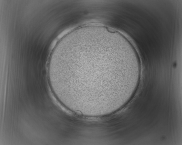 X0000115711341200912241536