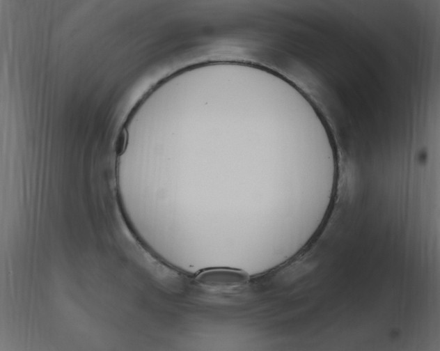 X0000115711342200912241536