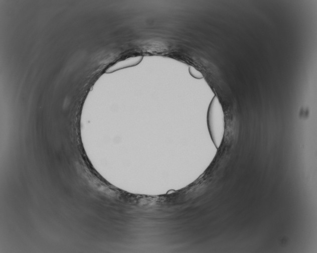 X0000115711345200912241535