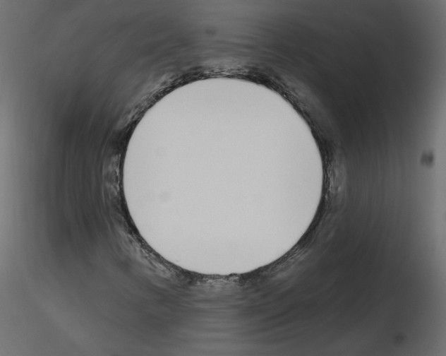 X0000115711346200912241535