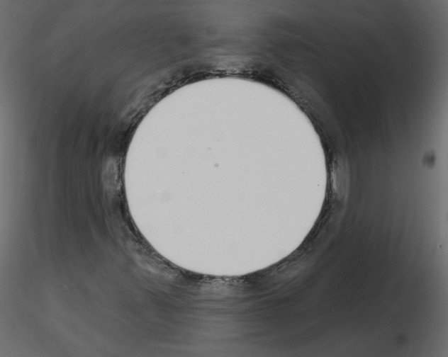 X0000115711347200912241535