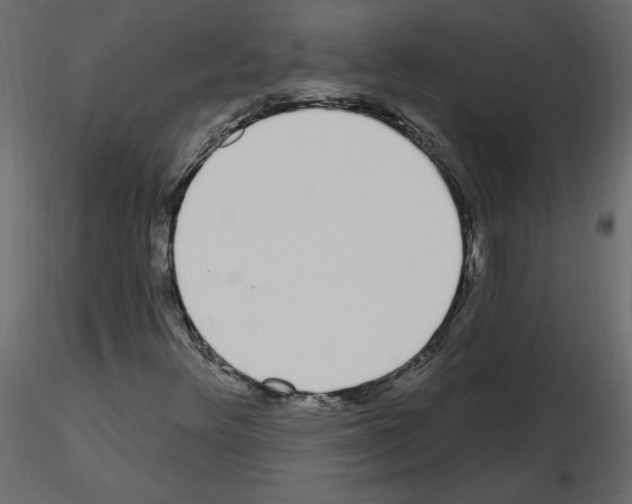 X0000115711348200912241535