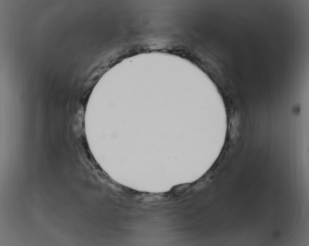 X0000115711349200912241535