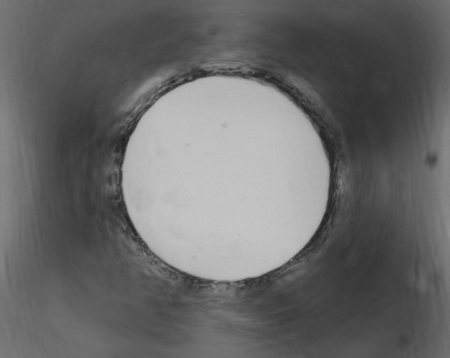 X0000115711350200912241535