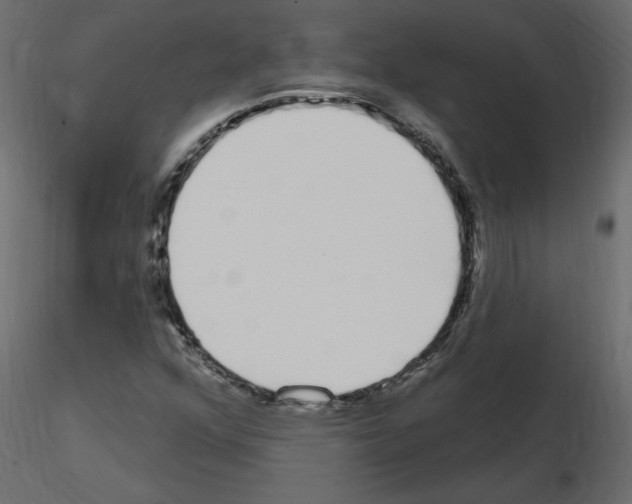 X0000115711352200912241535