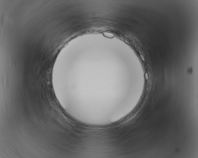 X0000115711353200912241535