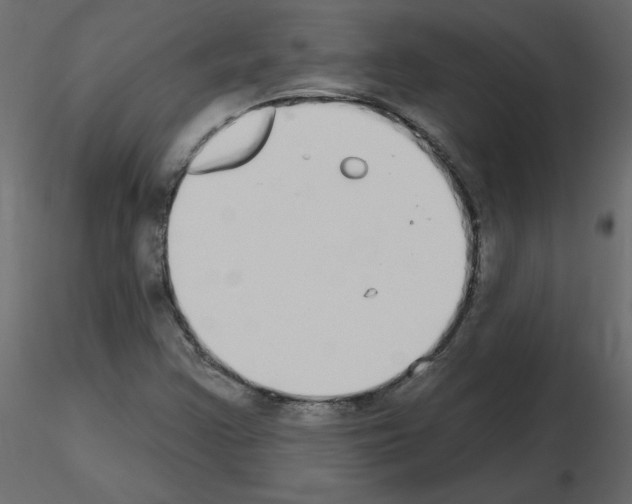 X0000115711355200912241535