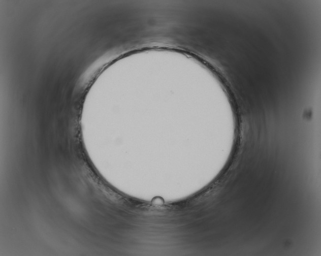 X0000115711359200912241535