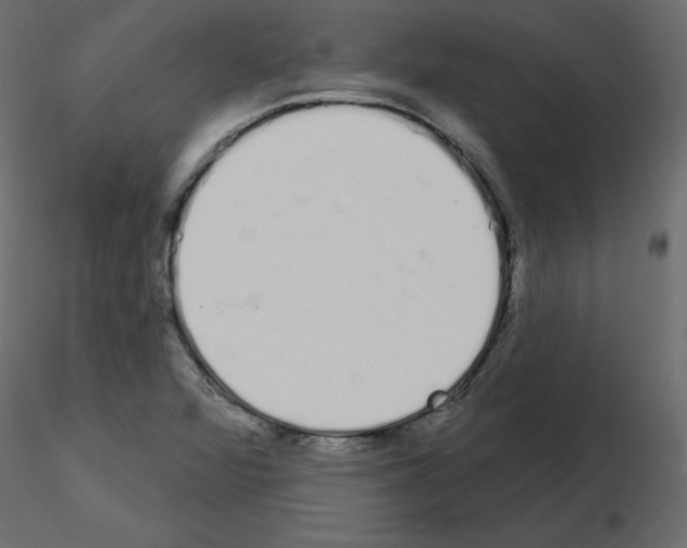 X0000115711360200912241535