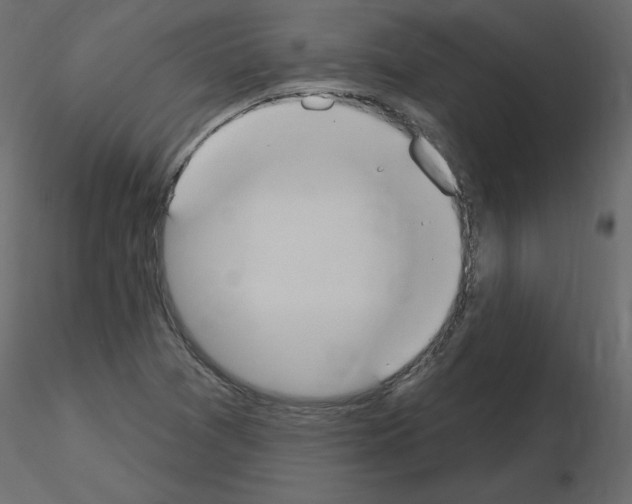 X0000115711361200912241535