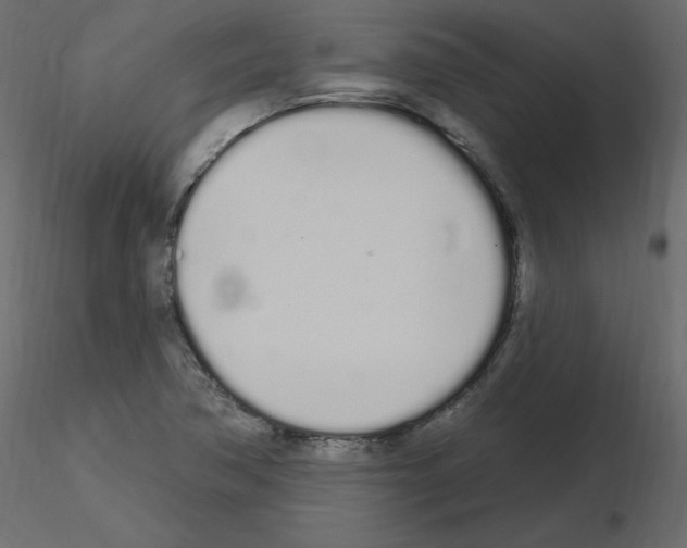 X0000115711362200912241535