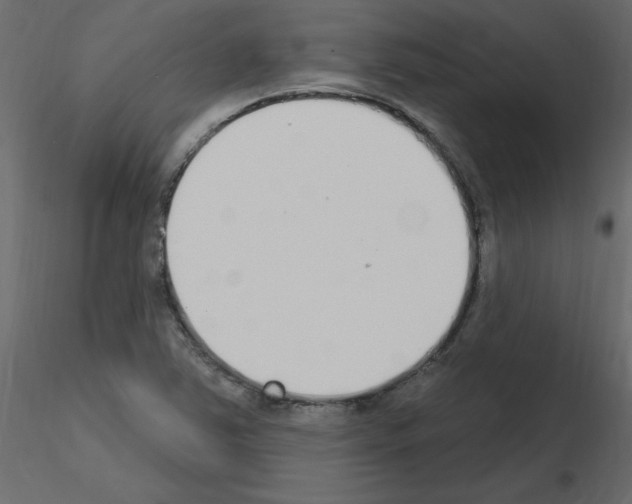 X0000115711363200912241535