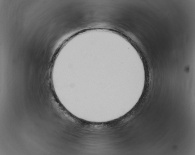 X0000115711364200912241535