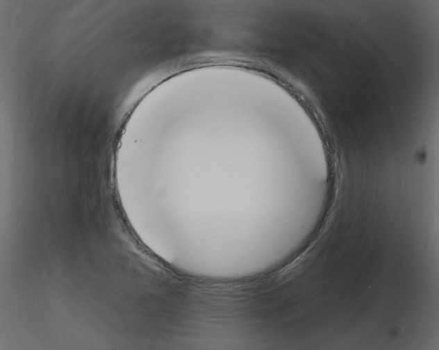 X0000115711365200912241535