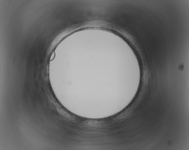 X0000115711366200912241535