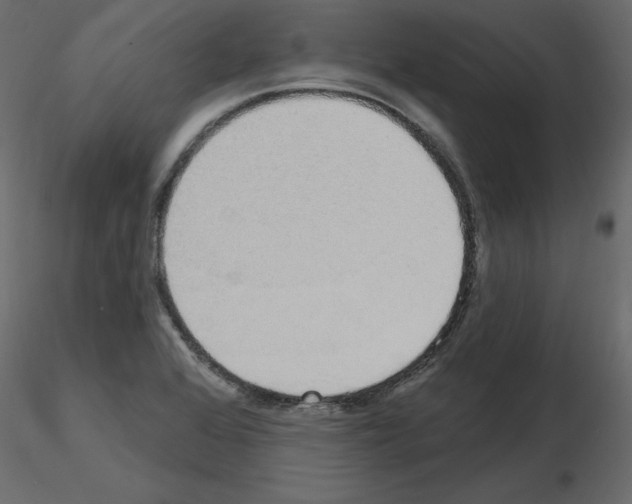 X0000115711368200912241535