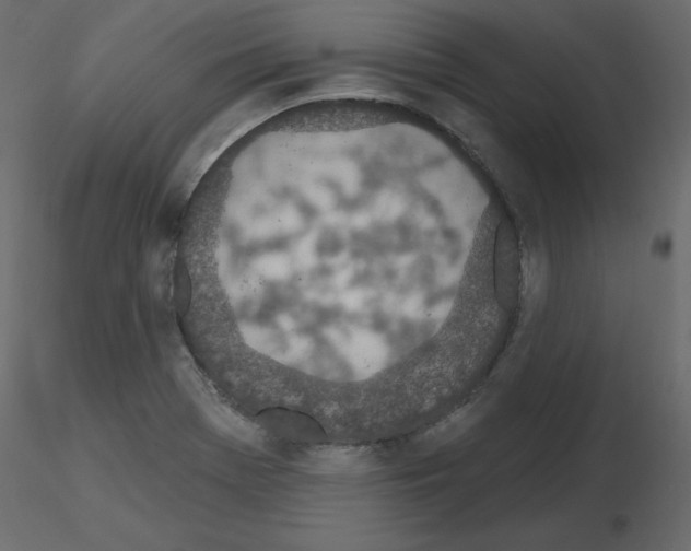 X0000115711369200912241535