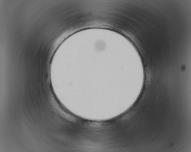 X0000115711371200912241535