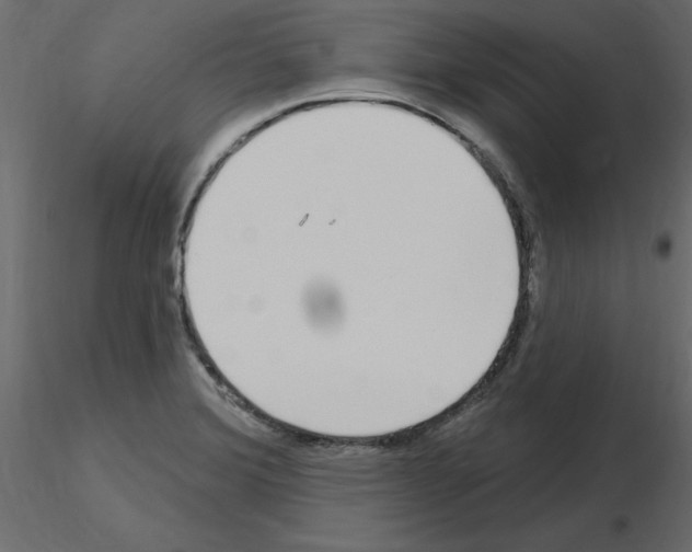 X0000115711372200912241535