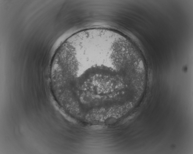 X0000115711373200912241535