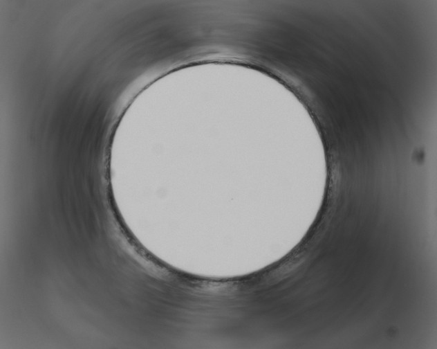 X0000115711375200912241535