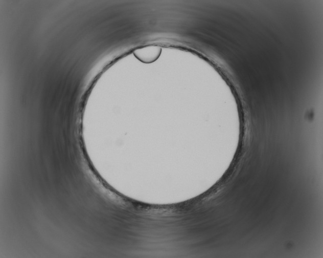 X0000115711376200912241535