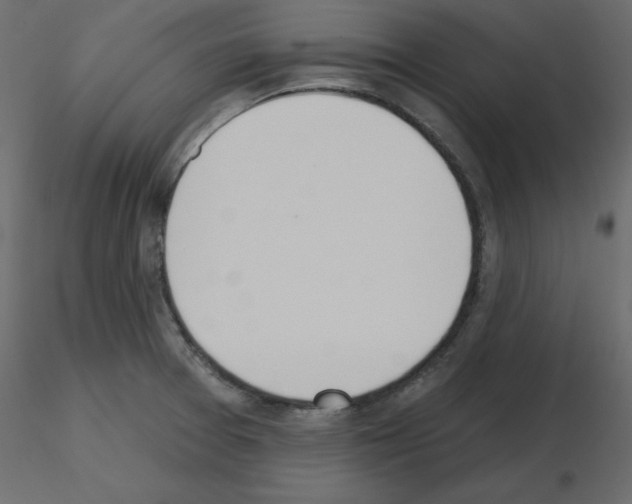 X0000115711377200912241535