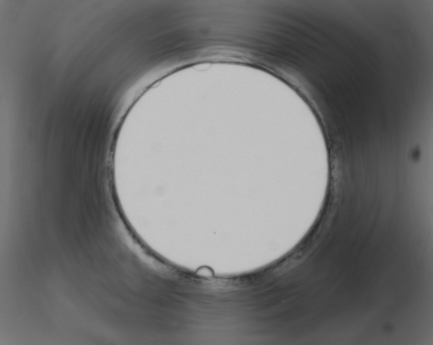 X0000115711379200912241535