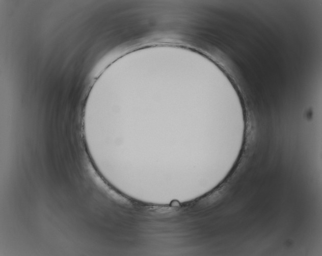 X0000115711382200912241535