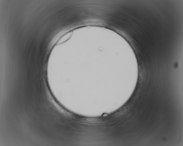 X0000115711383200912241535