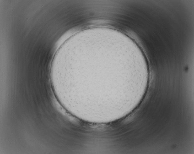 X0000115711386200912241534