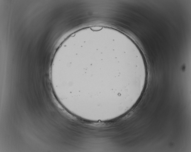 X0000115711388200912241534