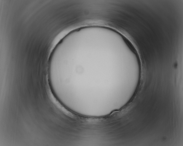 X0000115711389200912241534