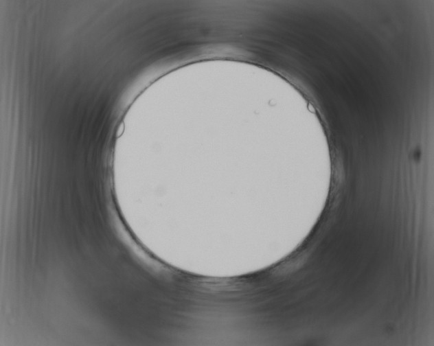 X0000115711391200912241534