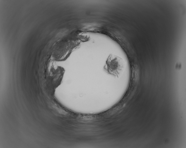 X0000115711393200912241534