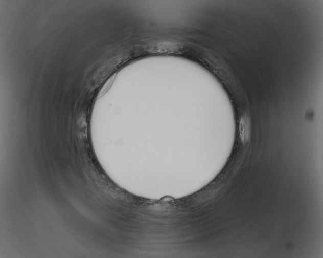 X0000115711395200912241534