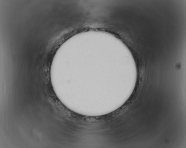 X0000115711398200912241534