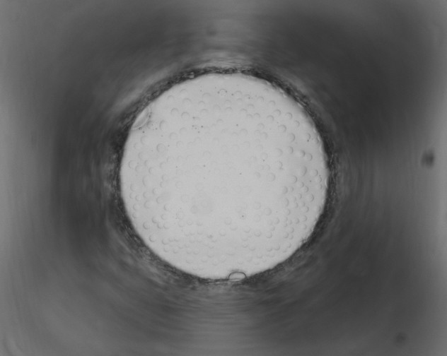 X0000115711399200912241534