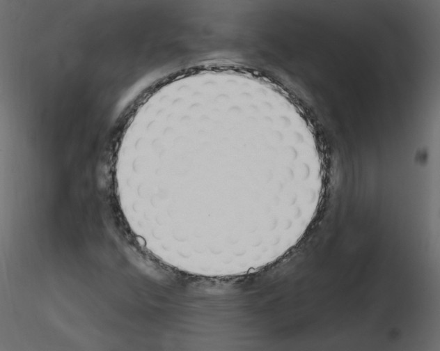 X0000115711400200912241534