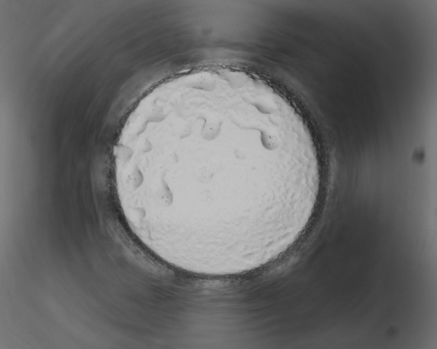 X0000115711401200912241534